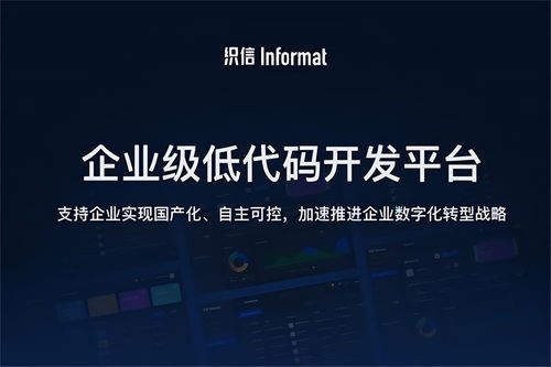 低代码开发 数字化转型的平民化技术革命