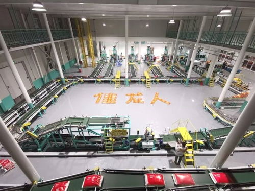 智能科技赋能传统产业 漳州佳龙一站式包装服务如何解放米厂工人双手